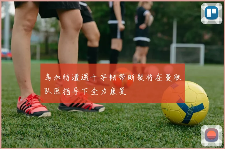 乌加特遭遇十字韧带断裂将在曼联队医指导下全力康复