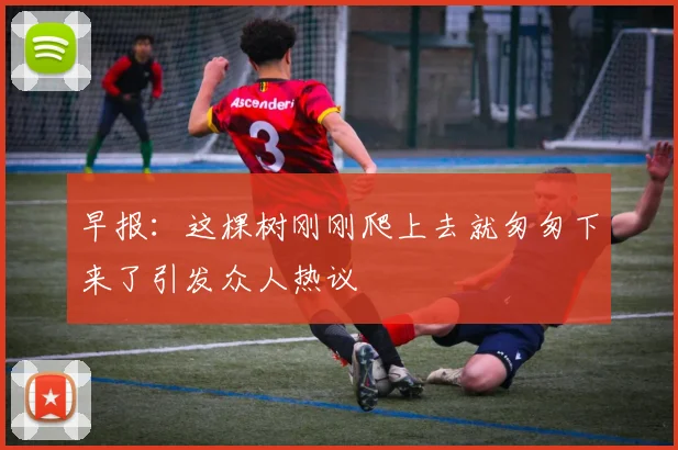 早报：这棵树刚刚爬上去就匆匆下来了引发众人热议