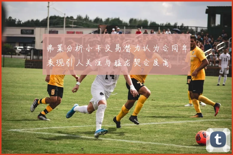 弗莱分析小卡交易潜力认为合同年表现引人关注与猛龙契合度高